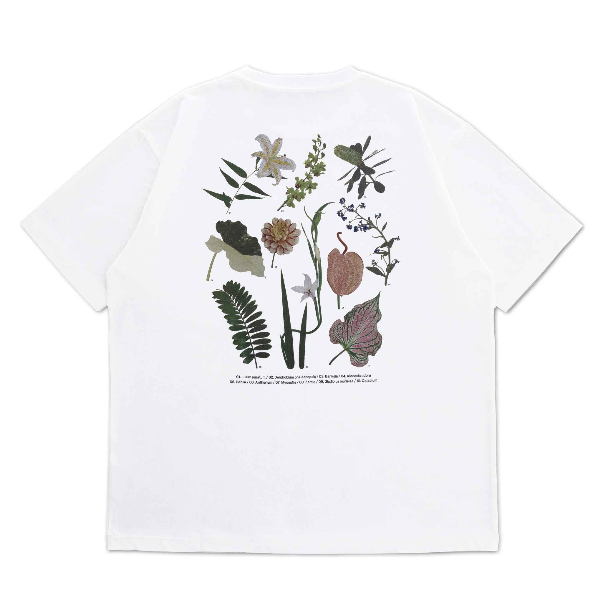 Flower List_A Tシャツ