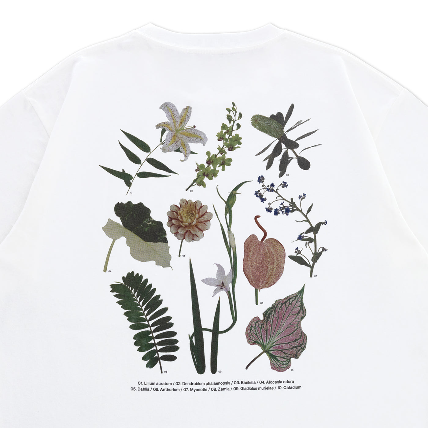 Flower List_A Tシャツ