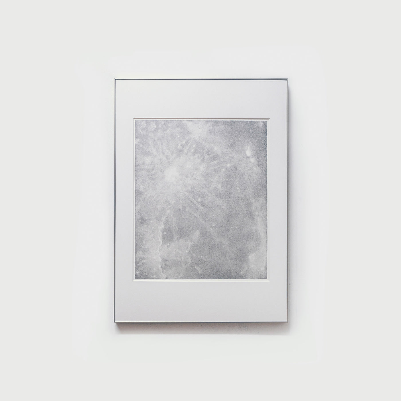Hikaru Sawada - 19 -「Search(graphite)」2024 絵画