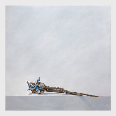 traveler's tree