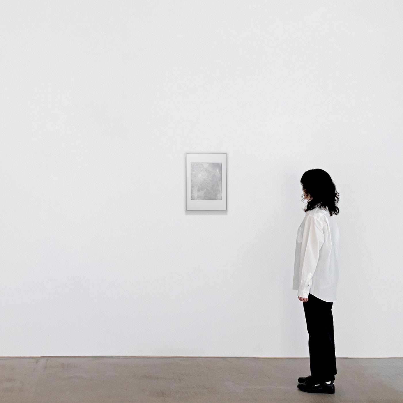Hikaru Sawada - 19 -「Search(graphite)」2024 絵画