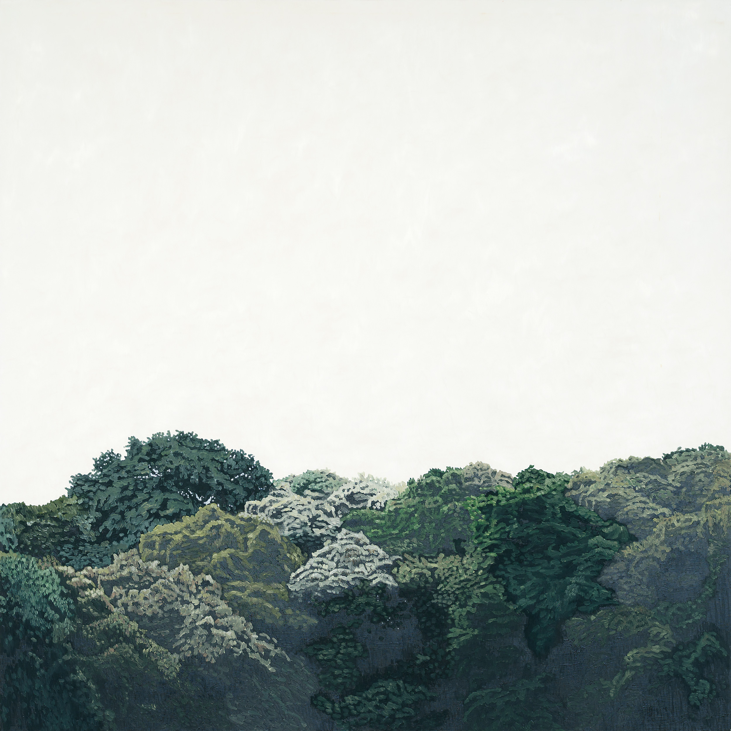 森と空