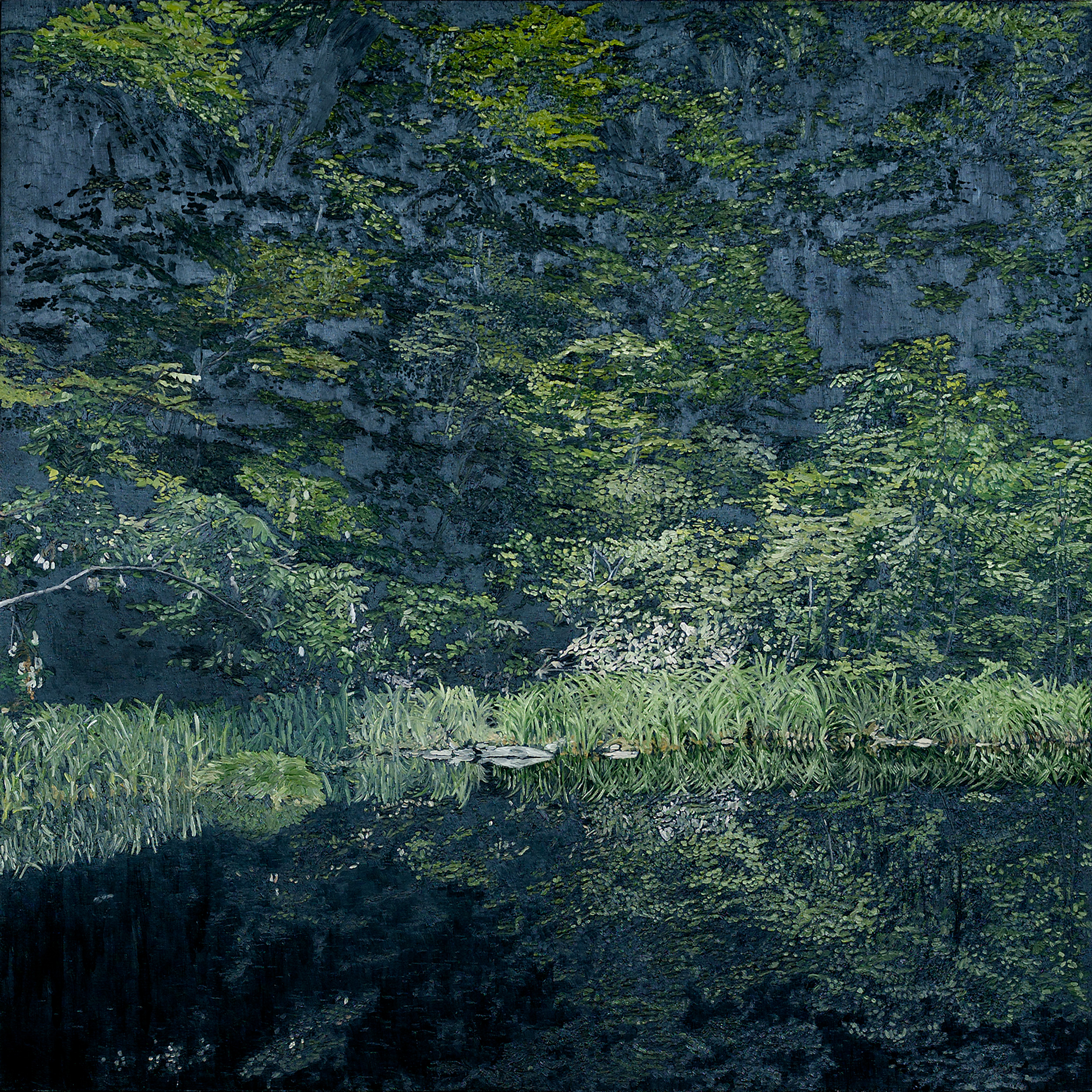 森と池