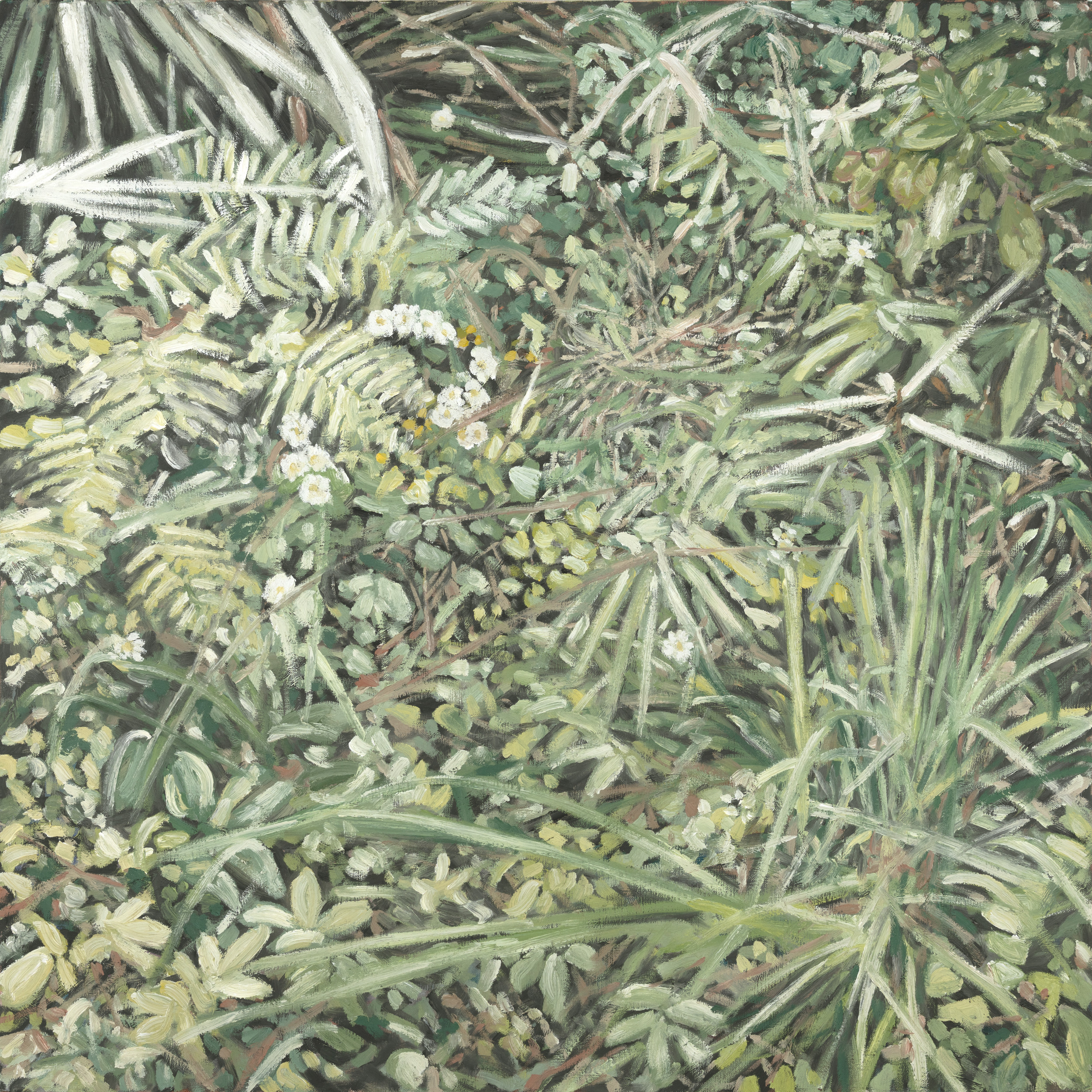 Grass