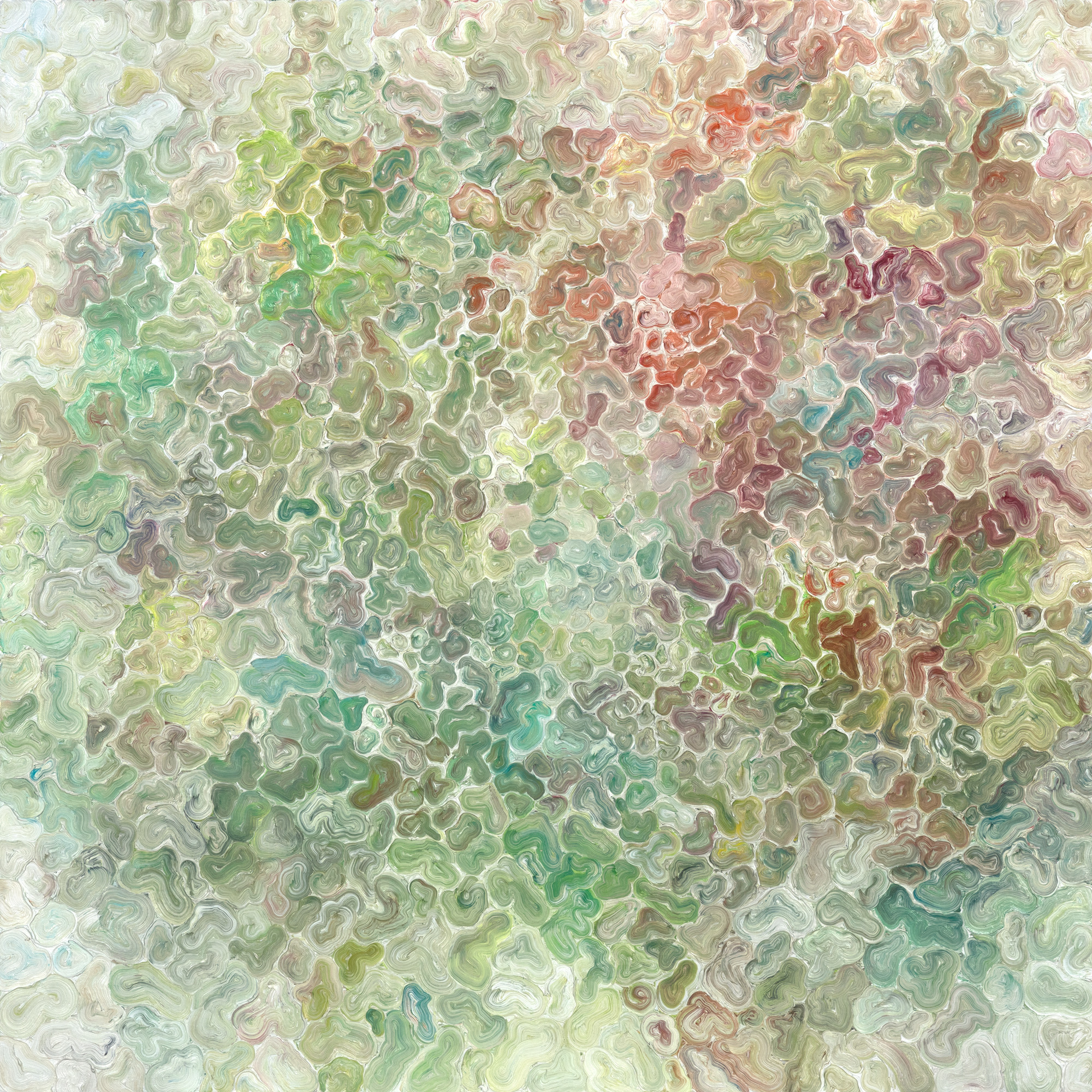 Sprout