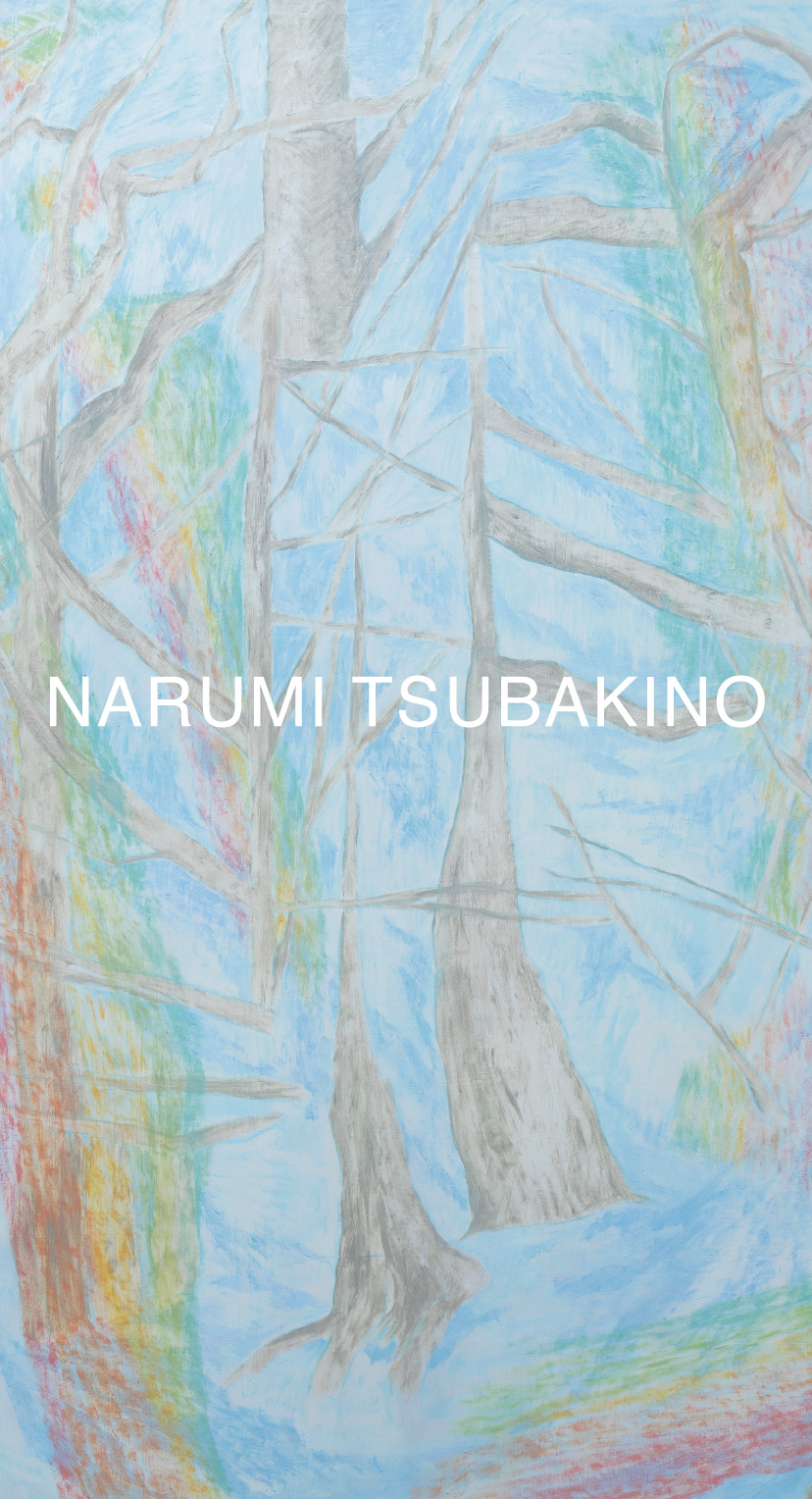 Artist NARUMI TSUBAKINO