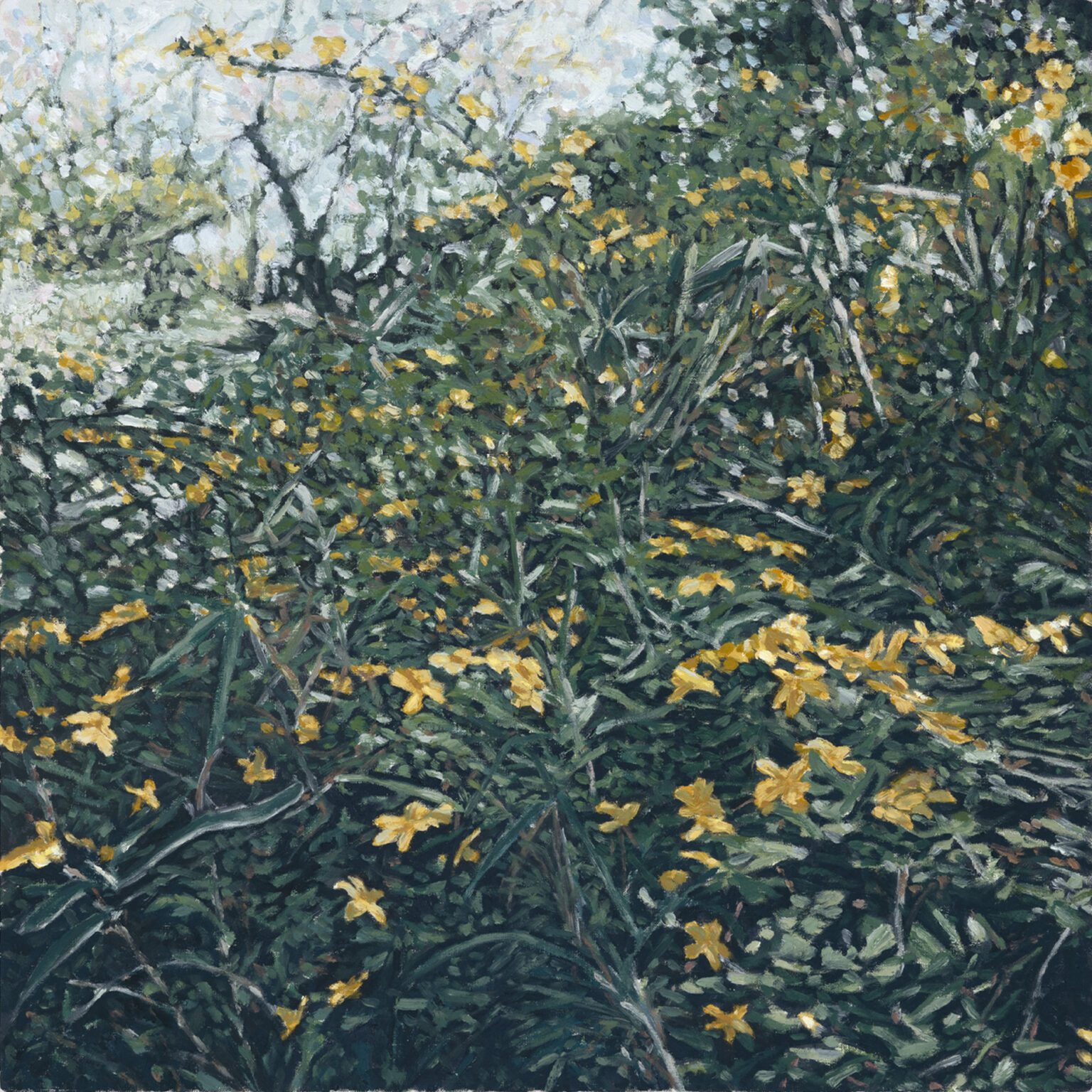 Yellow flower