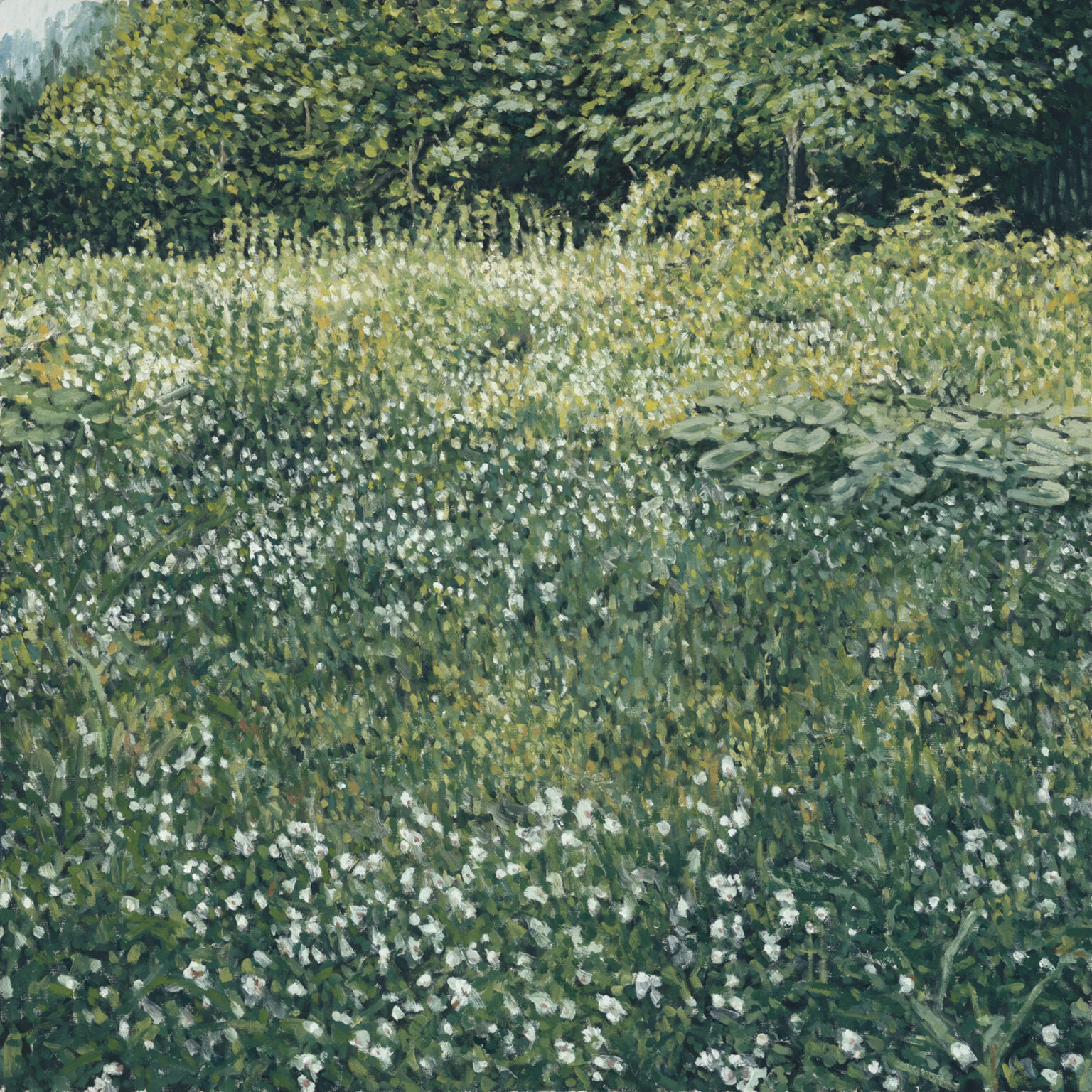 Field