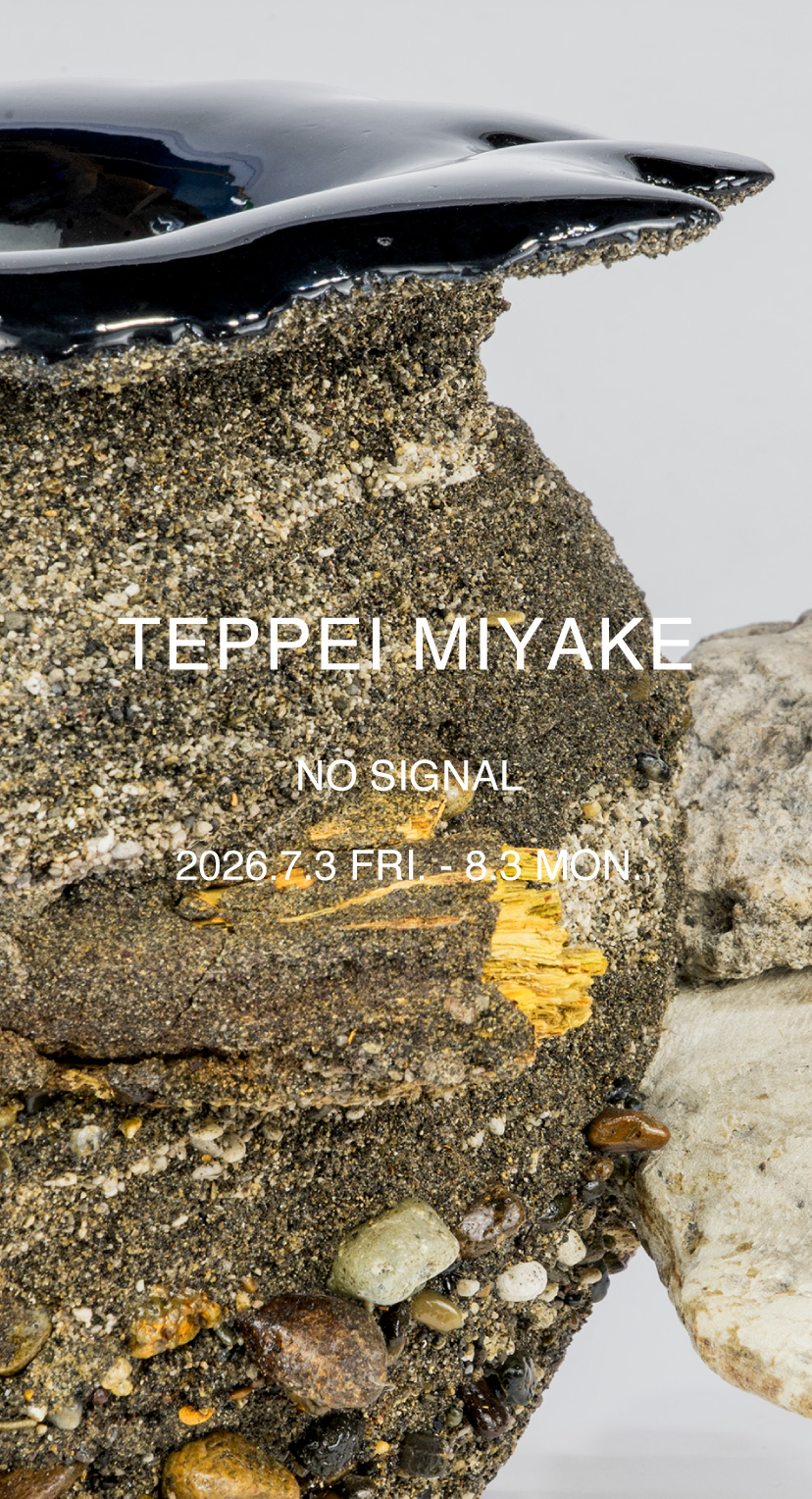 個展　No Signal